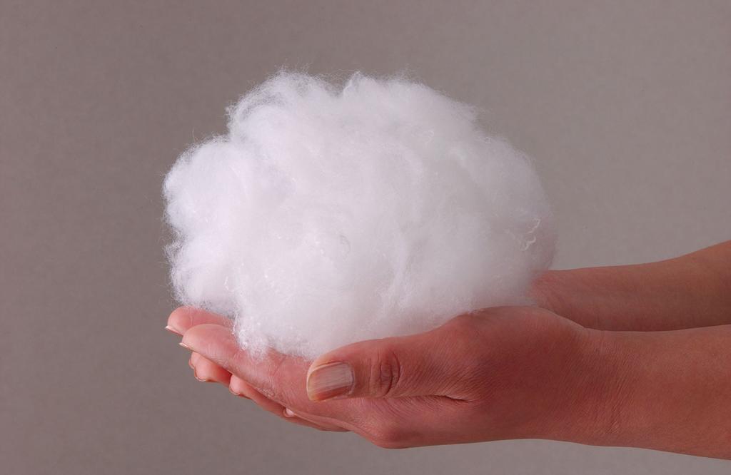 Danfill Fiber Pillow Premium with Premier Satin Pillow Cover (JPA227-AKF02-5)