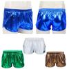 Men's Pants Shiny Metallic Low Rise Elastic Waistban Boxer Shorts Stage Performance Costume