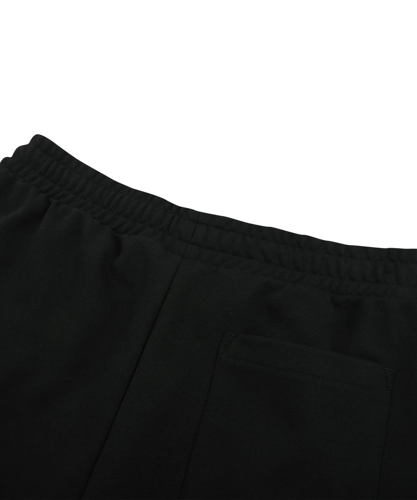 DOLPHIN WAVE APPAREL Dolphin Silicone Arch Logo Single-Pleat Shorts Black