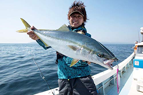 JACKALL Metal Jig Bumbles Jig 180g G207 Pink Wave Holo Semi-Long Back/Magma