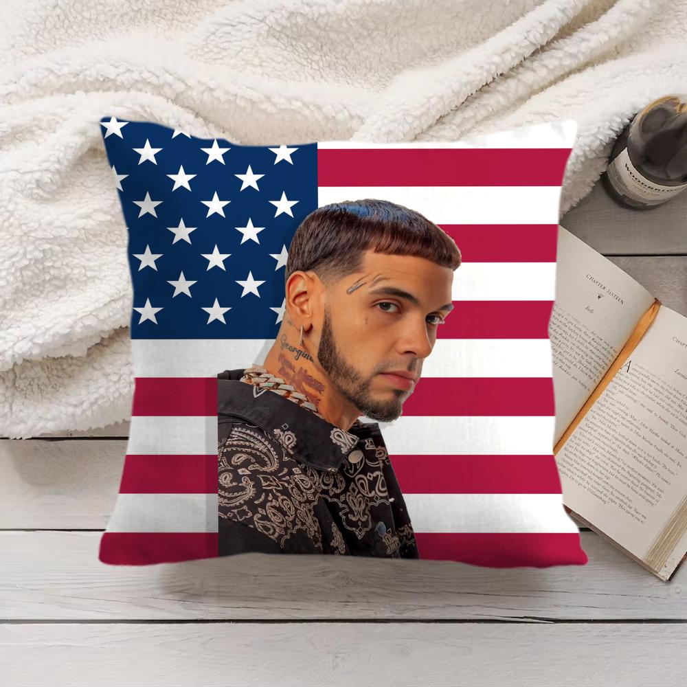 fashion Singer AAnuel AA Cushion Cover Silky Short Plush Invisible Zipper Dustproof Sofa Pillow Case for Home Decor