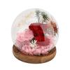 Eternal Flower In Glass Dome Exquisite Romantic LED Light Up Preserved Flower In Glass Dome Type 5