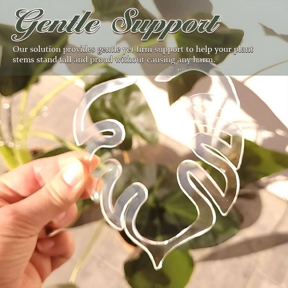 Plastic Plant Stem Support Holder Clear Plant Stem Support for Flower Lovers