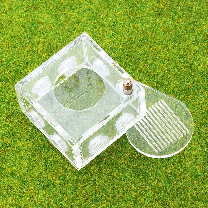 Акриловая зона активности муравьев, гнездо для подключения пробирки, коробка для кормления муравьиной фермы своими руками