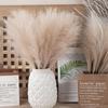 Wedding Decor Plante Living Room Artificial Reed Artificial Flower Fake Flowers Pampas Grass