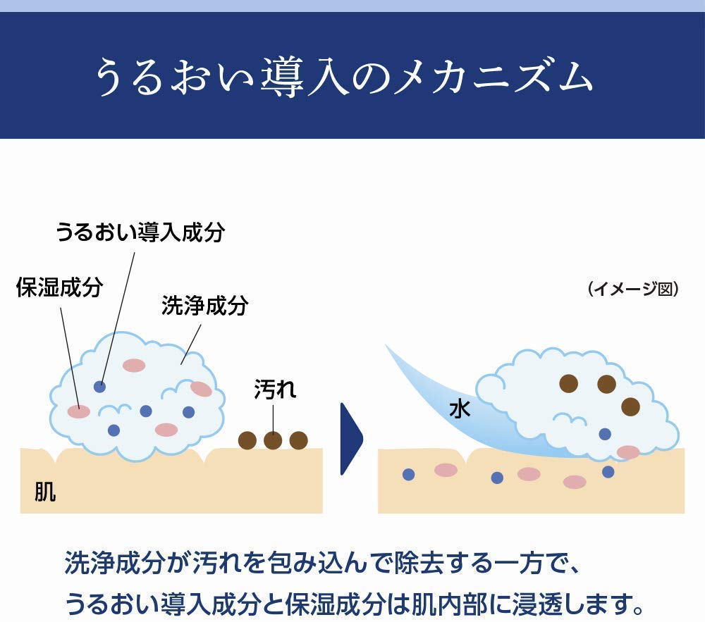 Senka Perfect Whip 150g x 2 packs (25% More)