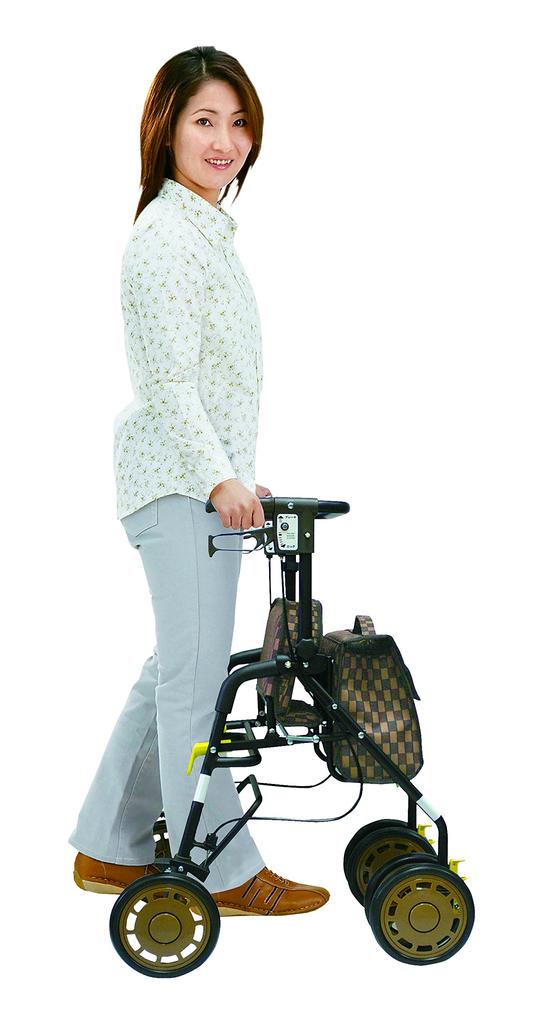 Shima Seisakusho Walker Symphony EVO B Коричневый