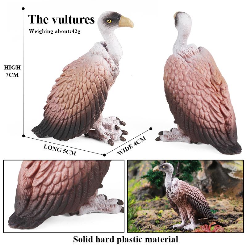 Oenux Дикие Птицы Животные Лес Ночной Орел Кондор Фигурки ПВХ Фигурка Садовое Украшение Образование Миниатюрная Игрушка Подарок для Ребенка