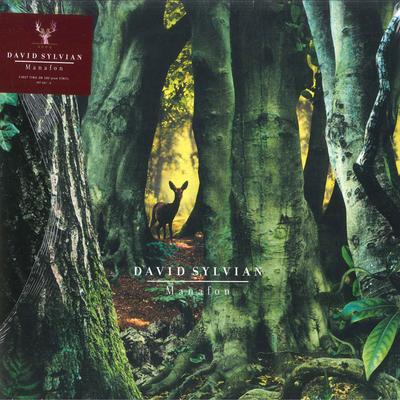 Виниловая пластинка DAVID SYLVIAN - Manafon 3876876 Samadhisound, U 2022 UK & Europ Танцевальная и Электронная музыка
