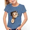 Cat Print Pattern T-Shirt Tees For Kids Boys Casual Short Sleeve T-shirt For Summer Spring Fall Tops As Gifts