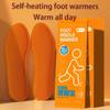 Self Heating Insole for Men and Women To Walk. Sole Self Heating Foot Warmer. Heating Foot Warmer for Autumn and Winter