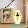 Aluminium Zinc Zinc Alloy Pet Ashes Holder Multiple Colors Pet Cremation Urns  for Cat Dog Bird Urn