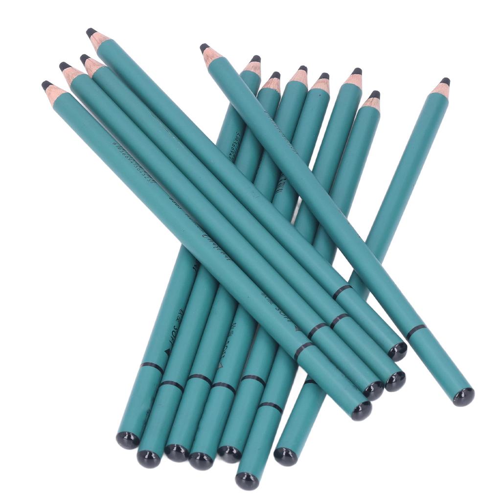 12Pcs Charcoal Pencils Flexible Write Smoothly Easy To Use Charcole Art Supply for Detailed Drawing