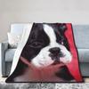 Boston Terrier Blanket Soft Cozy Boston Terrier Cute Puppy Dog Throw Blanket for Kids Girls Women Adults Boston Dog Lover Gifts