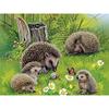 5D Алмазная картина Семья животных Ручная вышивка крестом Алмазная вышивка