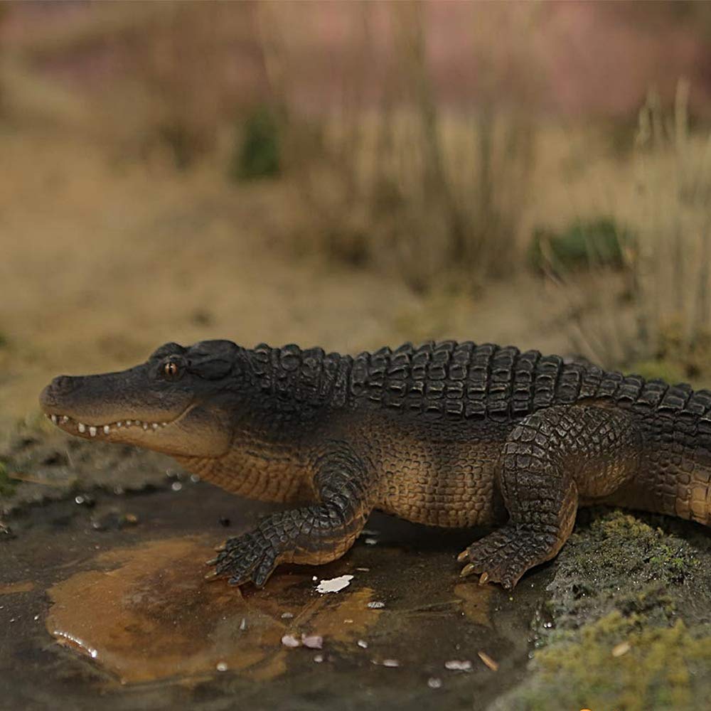 Safari Ltd. Wildlife Wonders Alligator Figure 1/15 Scale Model 113389