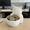 Горшок в форме кошки с дренажными отверстиями Уникальный дизайн для суккулентов, маленьких цветов и кактусов Украшение для спальни, офиса, рабочего стола