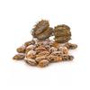 Castor Seeds (100 G), Castor Seeds