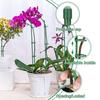 10Pcs Plastic Plant Supports Stakes Flower Stand Sticks Reusable Garden Fixing Tool For Indoor Vegetable Holder Bracket 30cm