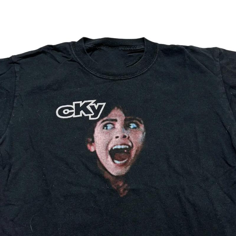 Винтажная футболка CKY Disengage the Simulator, короткий рукав, черная, все размеры, OM510, унисекс