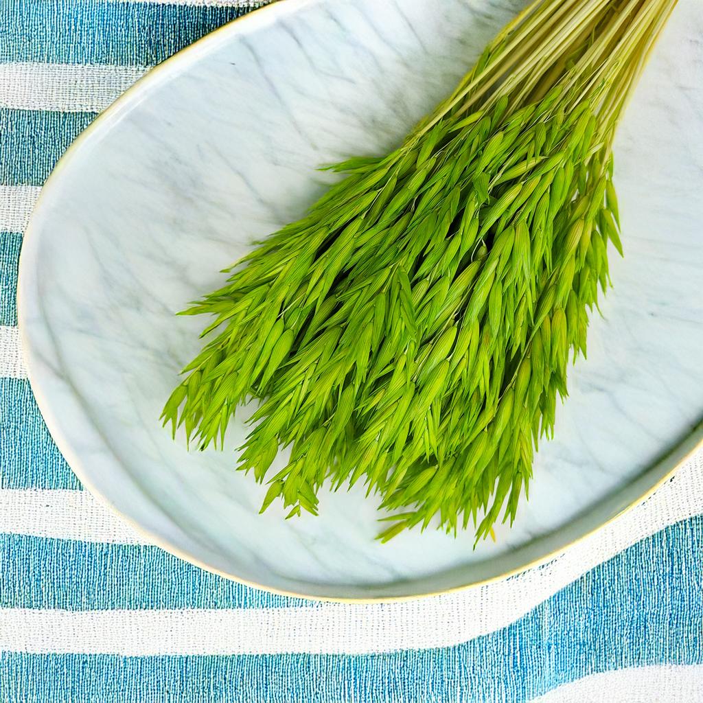 Dried Oats - Celadon Green