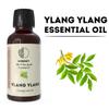 Ylang Ylang 100% Pure Essential Oil Natural Therapeutic Grade Aromatherapy