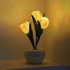 Ночник USB Перезаряжаемый Беспроводной Светодиодный Светильник-Тюльпан Сенсорное Управление Диммируемый Милый Настольный Светильник для Спальни Гостиной Путешествий Подарок для Женщин Мамы