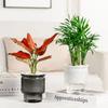 Removable Flowerpot Self Watering Mini Succulent Planter Light Luxury Tabletop Vase