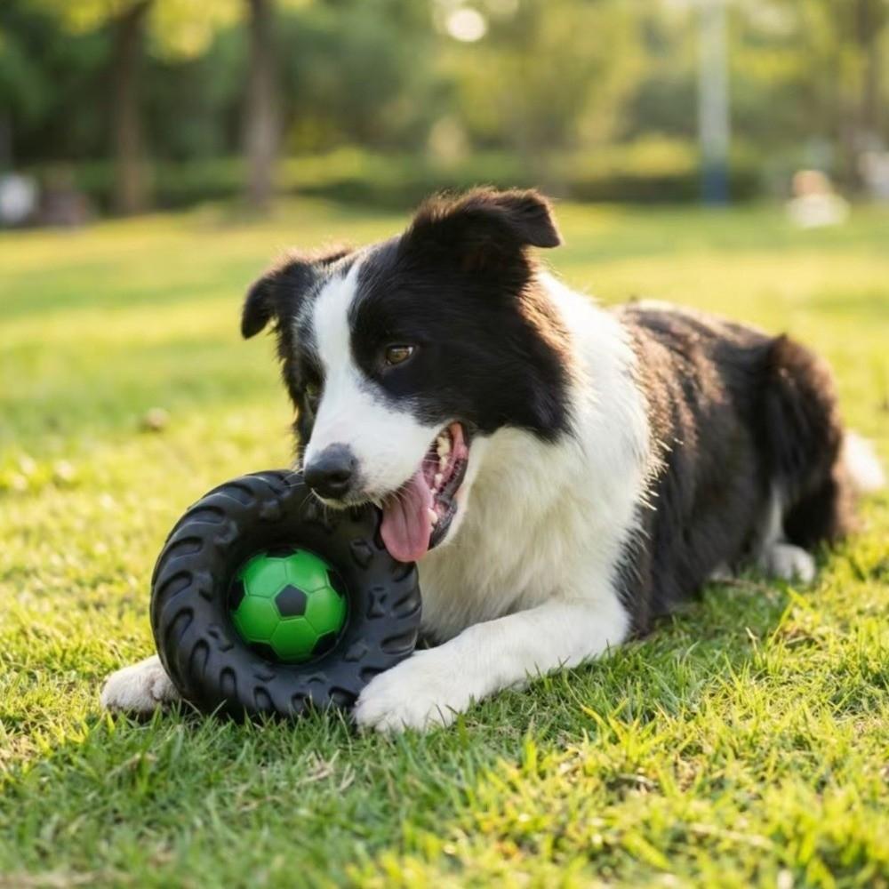 Elasticity Interactive Dog Toy Squeak Sound Dog Chew Wheel Toy Creative Molar Toys Indoor Play