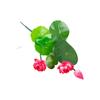 Mini Lotus Flower Artificial Fake Flowers Simulation Lotus Leaf  Bedroom Wedding