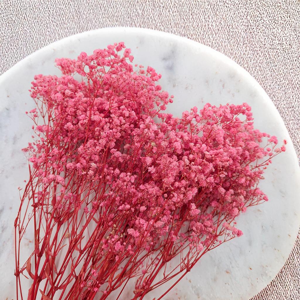 Stabilized Gypsophila - (Gypsophila) - Royal Bouquet - Pink