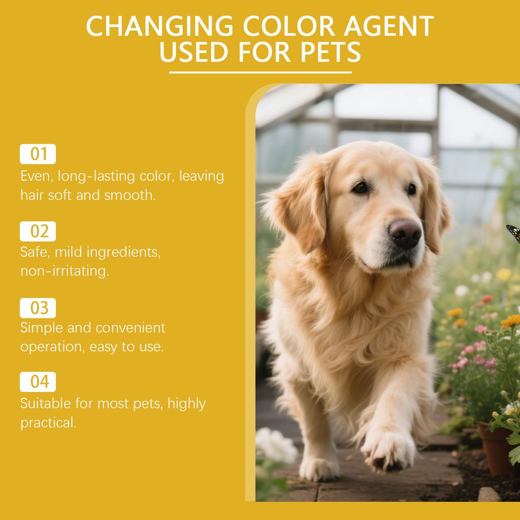 Pet Hair, Temporary Pet Hair, Gentle, Non-irritating And Easy To Color For Fashionable Dogs