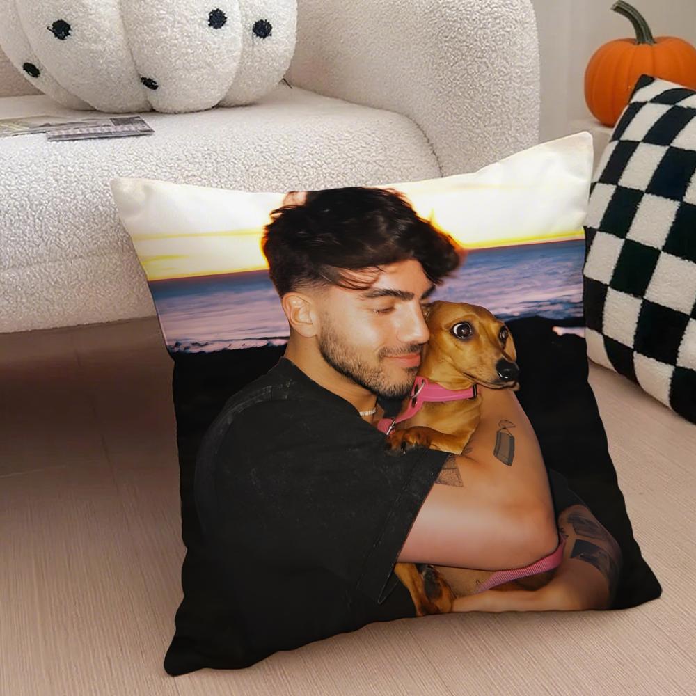 Creative Funny Argentine Creator FFede Vigevani Cushion Cover Throw Pillow Cover Hidden Button Durable Polyester Chair Cushion