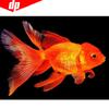Алмазная мозаика 5D DIY Алмазная картина Животное Алмазная вышивка Золотая рыбка Вышивка крестом