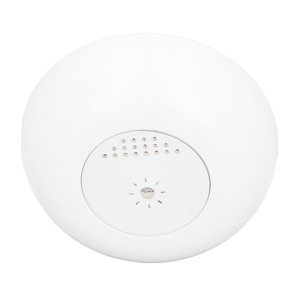 Light Sensor High Sensitivity APP Remote Control Real Time Alert Luminosity Detection Sensor for Hom