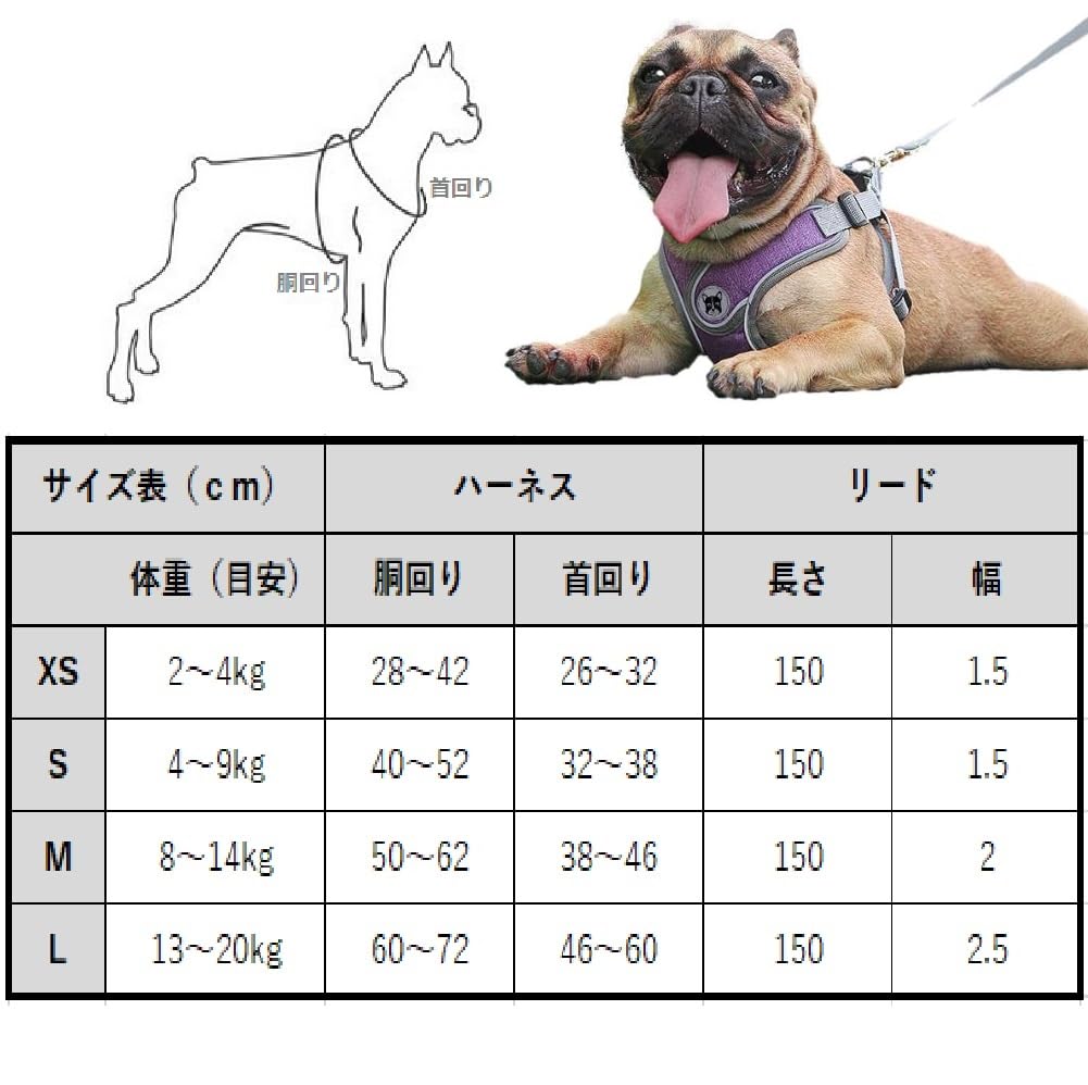 Reflective Harness and Lead 4 for and Large Dogs and Pet Nighttime Tote Bag Included XS Weight [DauStage] Set, Colors, Small, Medium, Cats, Supplies,