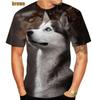 Летняя модная мужская футболка с 3D охотничьей собакой в ​​стиле Харадзюку, детская рубашка с круглым вырезом и животным