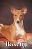 Книга Basenji : Dog Breed Overview and Guide