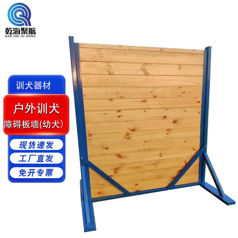 Professional Outdoor Dog Training Equipment