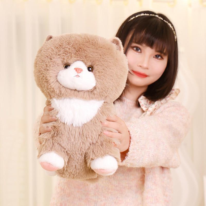 Cute Ragdoll Cat Cartoon Plush Toy Pillow Bedroom Decor Children Gift Giving