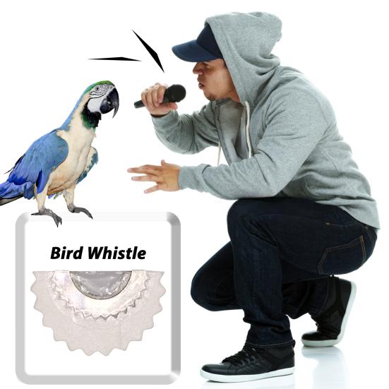 Metal Bird Whistle Fun Bird Caller Tongue Whistle Warbler Original Tweeting Noisemaker Toy Party Favors Tricks Gag Gift
