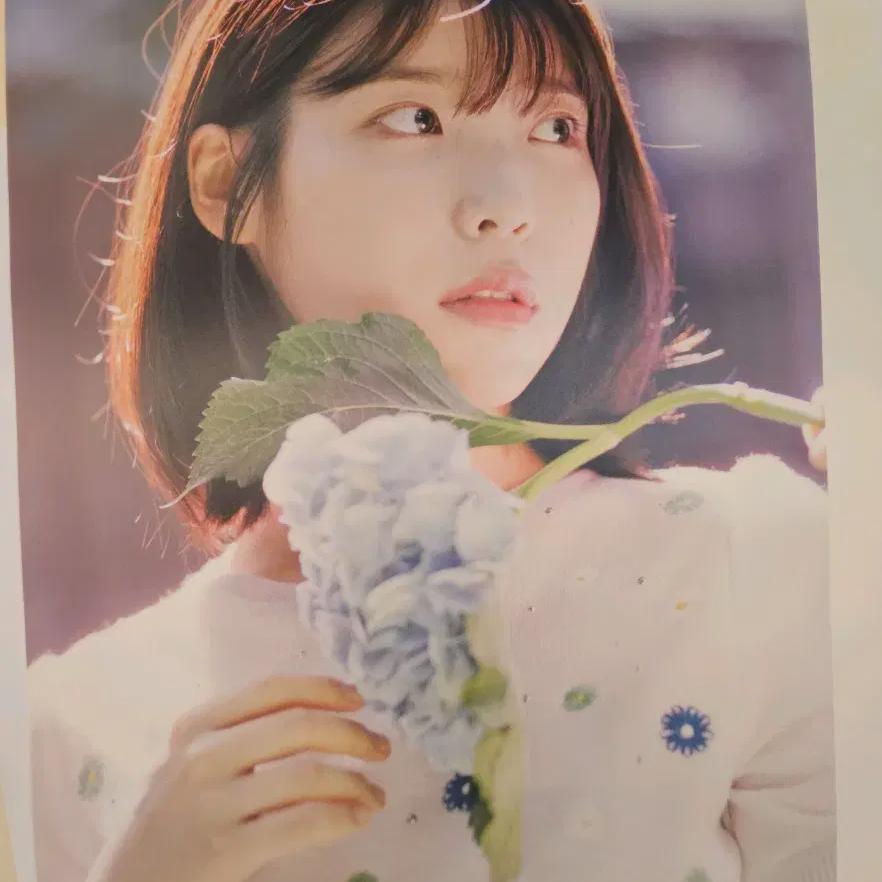 IU Flower Marbles 2 Poster, 2 Types, Easy To Use