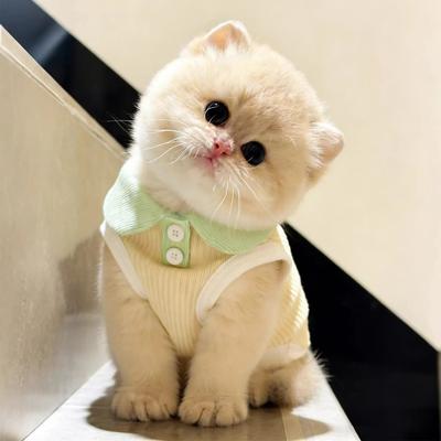 Новые товары для питомцев Летняя одежда для собак Щенячья рубашка Блузка Весна Одежда для питомцев Собака Питомцы Рубашки Одежда Товары Аксессуары