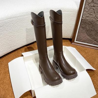 Французские сапоги-ботфорты с V-образным вырезом и толстым каблуком 2025 универсальные новые осенне-зимние британские сапоги на толстой подошве, увеличивающие рост и стройнящие