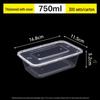 Disposable Clear Plastic Takeout Food Containers