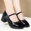 French Mary Jane Shoes Soft Leather Thick Heel Round Toe Women's British Style Small Leather Shoes Spring and Autumn Women's Shoes