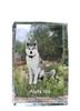 Akita, Akita Inu - crystal with a picture of a dog, photo in glass, modern exhibition of Art-Dog brand photo