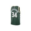 Nike Баскетбольный жилет Giannis Antetokounbpo #34 Milwaukee Bucks с принтом логотипа, мужской, зеленый DB3579-323