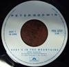 7inch Record PETER GODWIN - Baby's In The Mountains / Soul Of L PDS2237 Polydor 1983 Canada Dance & Electronica Used
