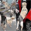 Large Dog Sling for Hind Leg Support & Rehabilitation Aid for Elderly Dogs with Weak Legs - Medium Size